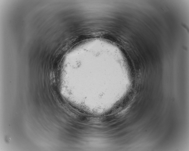 X0000099510182200806051156