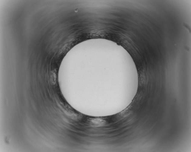 X0000099510183200806051156