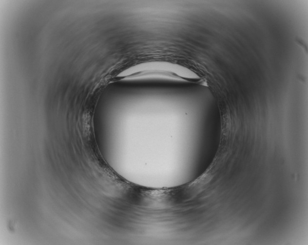 X0000099510184200806051156