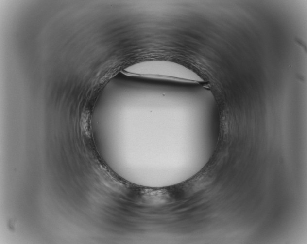 X0000099510185200806051156