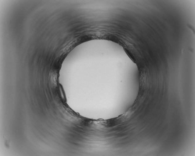 X0000099510188200806051156