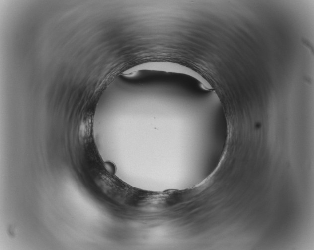 X0000099510190200806051156