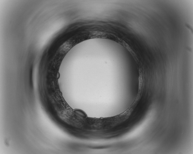 X0000099510191200806051156