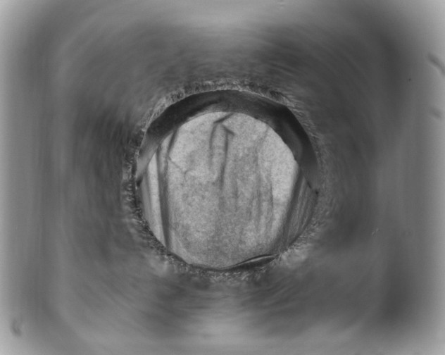 X0000099510192200806051156