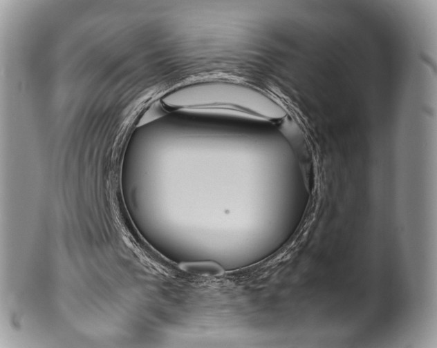 X0000099510193200806051155