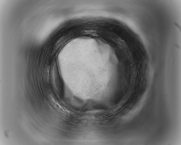 X0000099510194200806051155