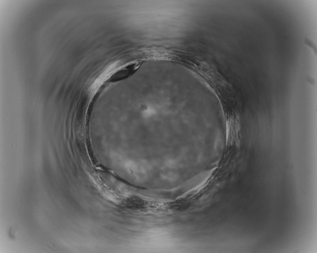 X0000099510195200806051155