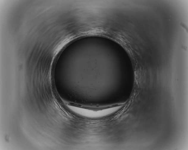 X0000099510196200806051155