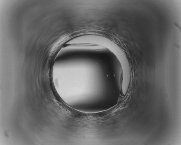 X0000099510197200806051155