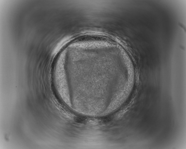 X0000099510199200806051155