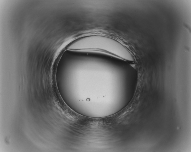 X0000099510200200806051155