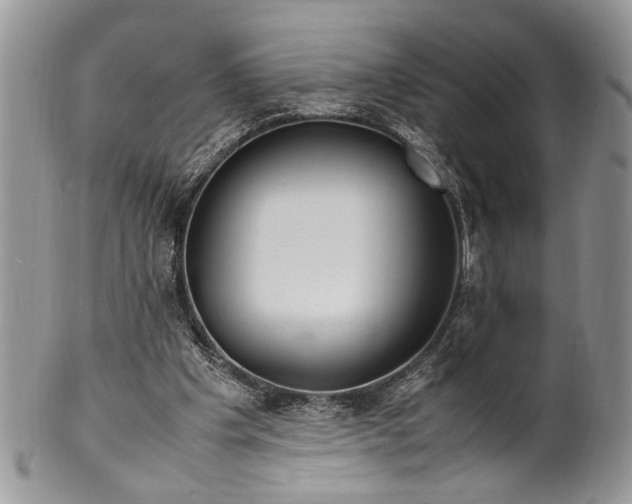 X0000099510201200806051155