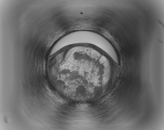 X0000099510202200806051155