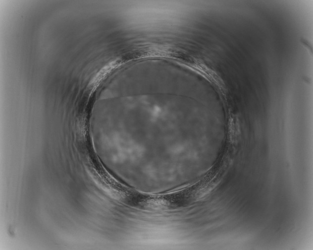 X0000099510203200806051155