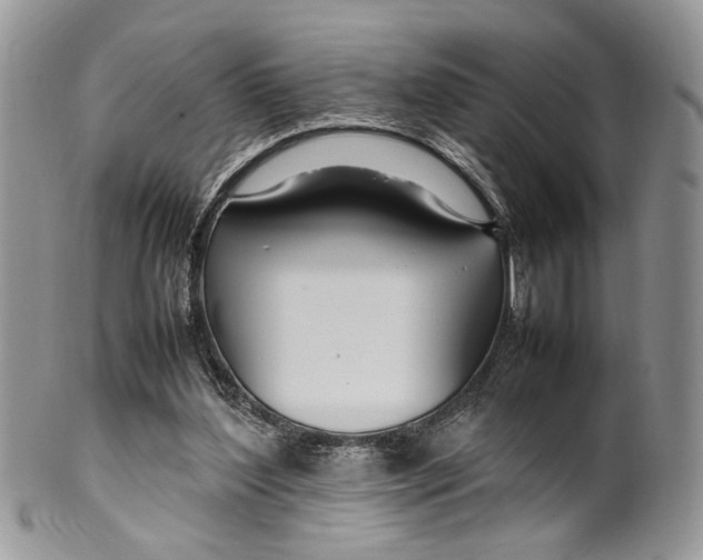 X0000099510204200806051155