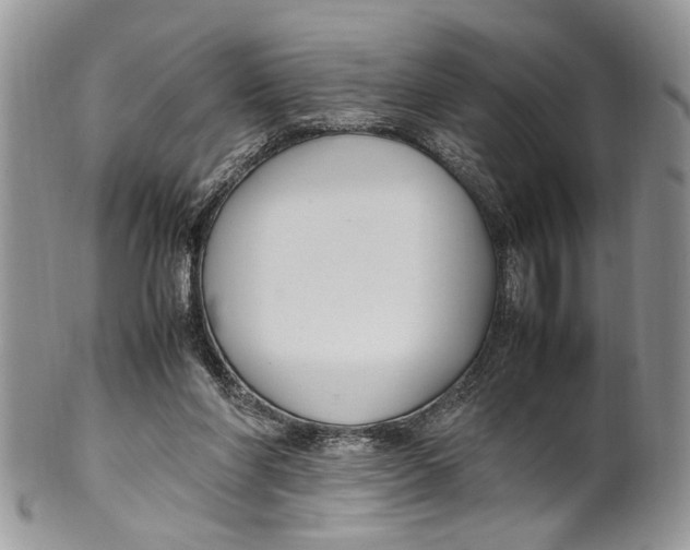 X0000099510206200806051155