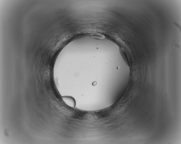 X0000099510207200806051155