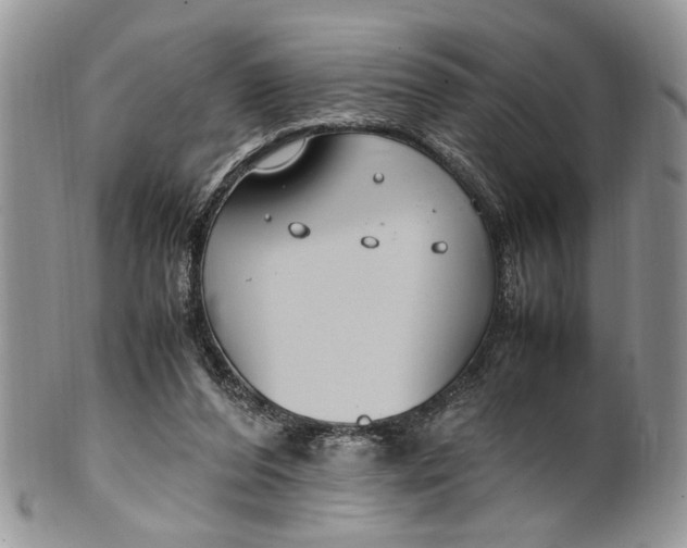 X0000099510208200806051155