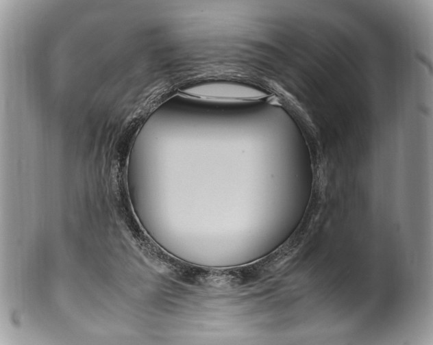 X0000099510209200806051155