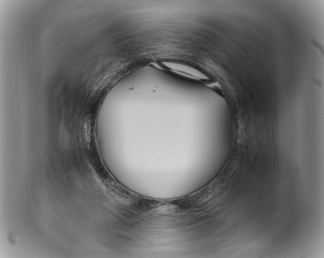 X0000099510210200806051155