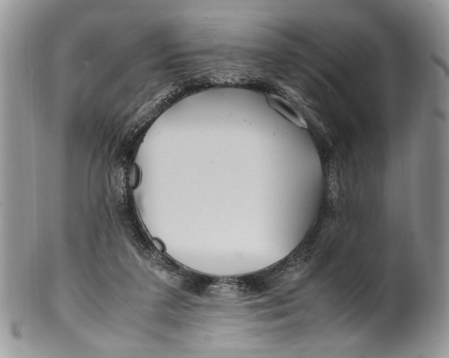 X0000099510211200806051155