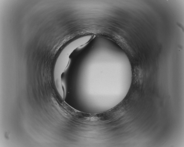 X0000099510212200806051155