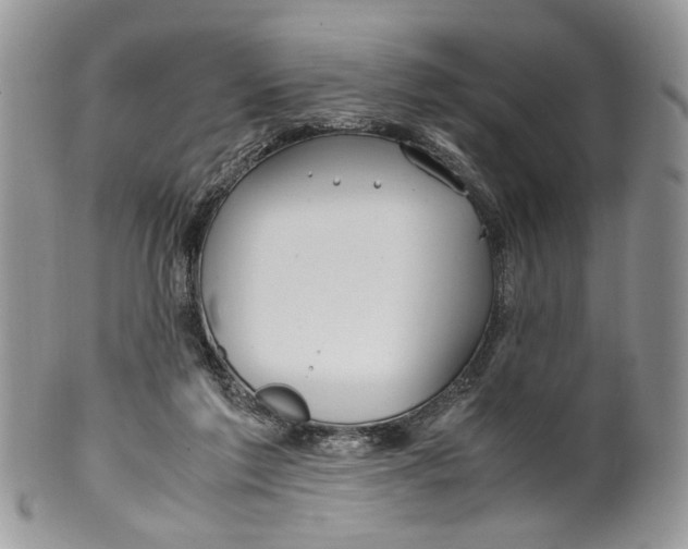 X0000099510213200806051155