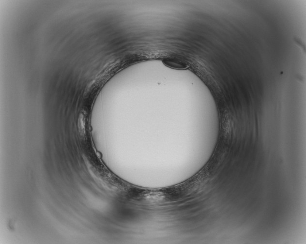 X0000099510214200806051155