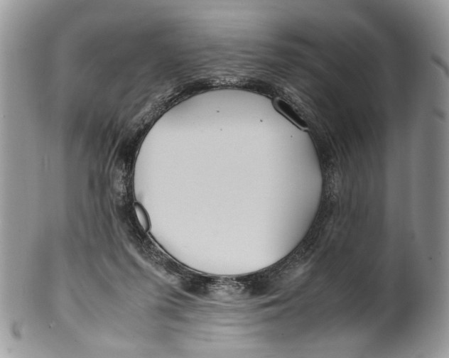 X0000099510215200806051155