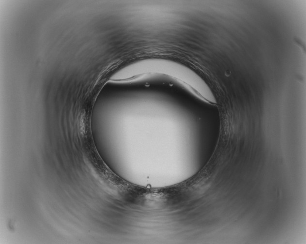 X0000099510216200806051155