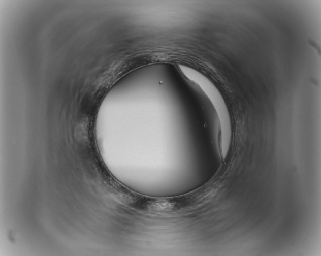 X0000099510217200806051155