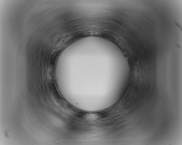 X0000099510218200806051155