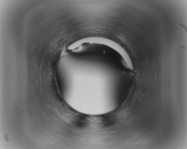 X0000099510221200806051155