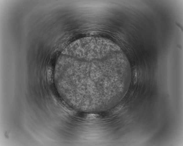 X0000099510222200806051155