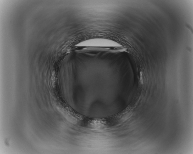 X0000099510223200806051155