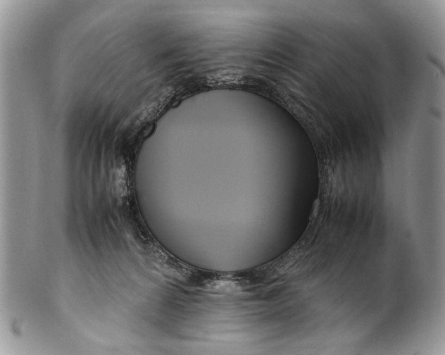 X0000099510224200806051155