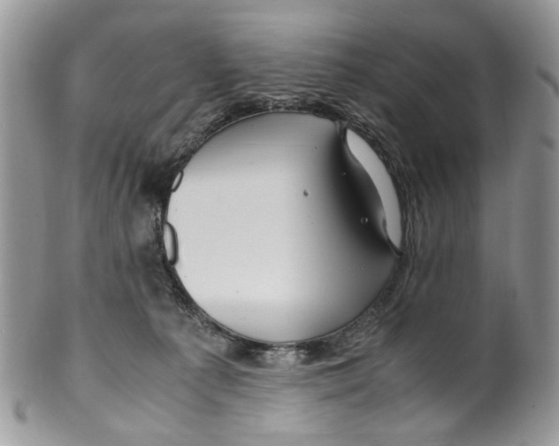 X0000099510225200806051155