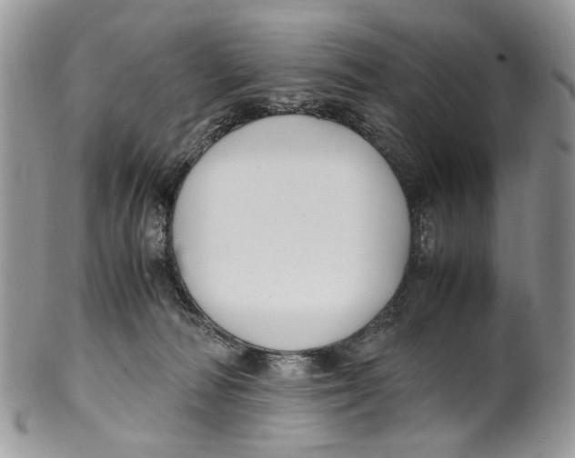 X0000099510226200806051155