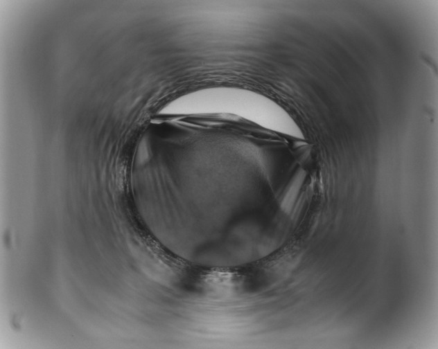 X0000099510227200806051154