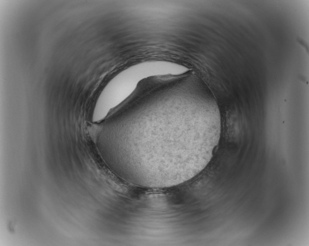 X0000099510228200806051154