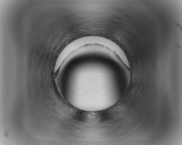 X0000099510229200806051154