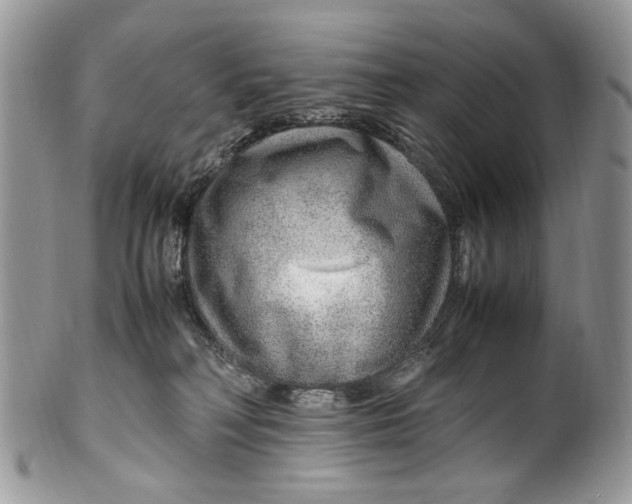 X0000099510230200806051154