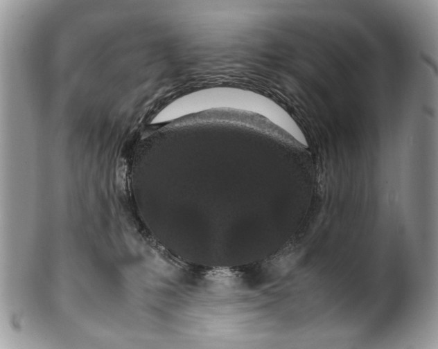 X0000099510231200806051154