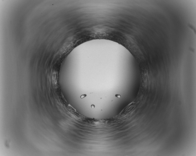 X0000099510232200806051154