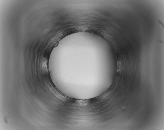 X0000099510238200806051154