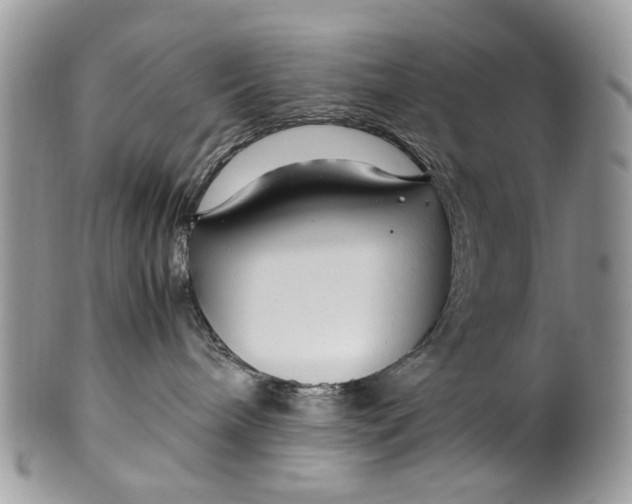 X0000099510240200806051154