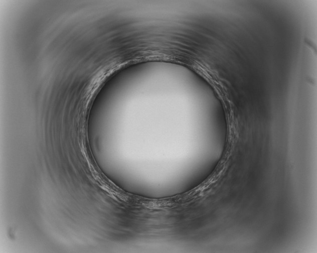 X0000099510241200806051154