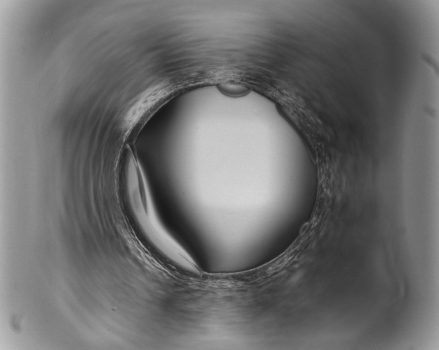 X0000099510242200806051154