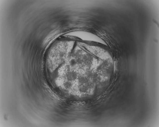 X0000099510243200806051154