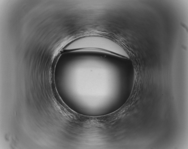 X0000099510244200806051154